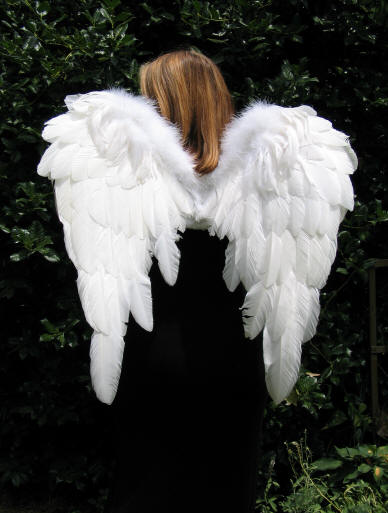 Reader profile image for Angelic Wings