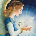 Reader profile image for Angel Wings