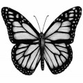 Reader profile image for Butterfly