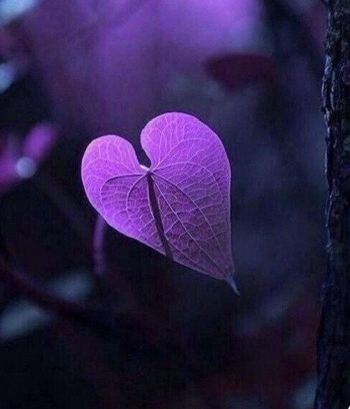 Reader profile image for Marina