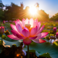 Reader profile image for Lotus