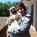 Reader profile image for Carol- Anne