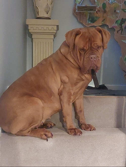 Reader profile image for Isis