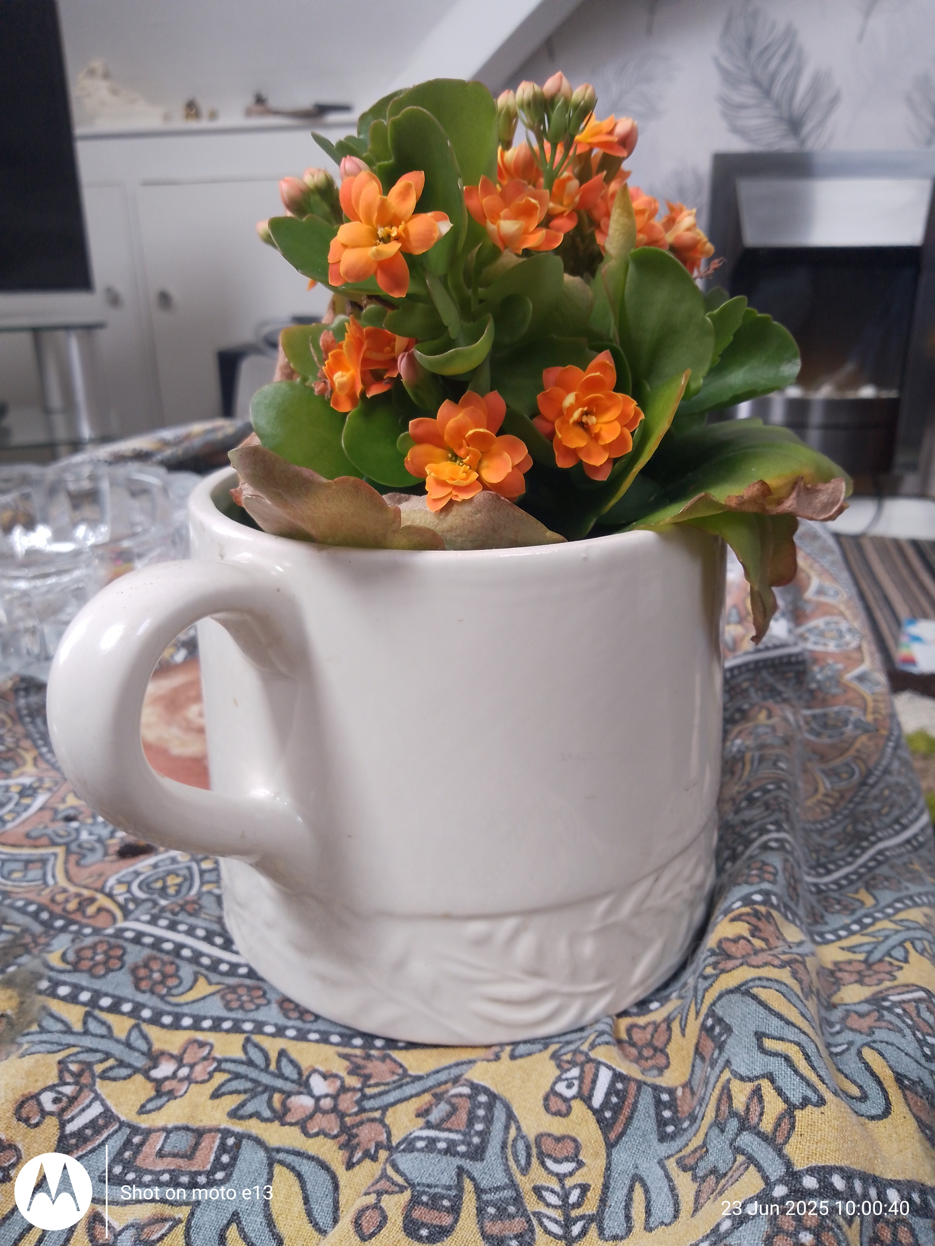 Reader profile image for Rose Beth