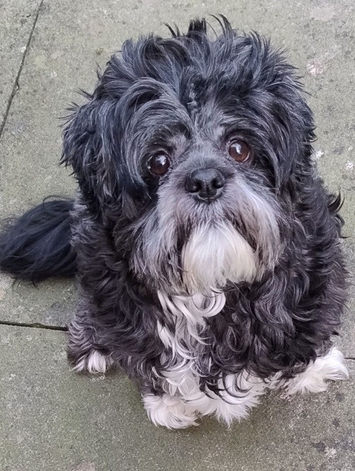 Reader profile image for Johanna