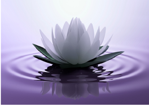 Reader profile image for Beverlee