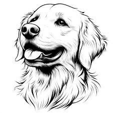Reader profile image for Kate