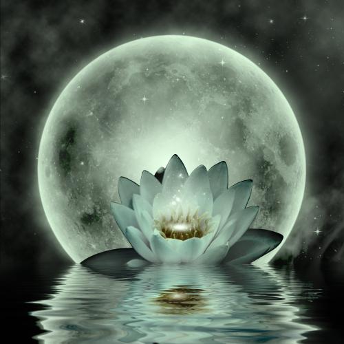 Reader profile image for Moonwaters