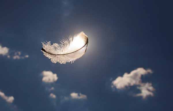 Angelic Signs You Shouldn't Ignore