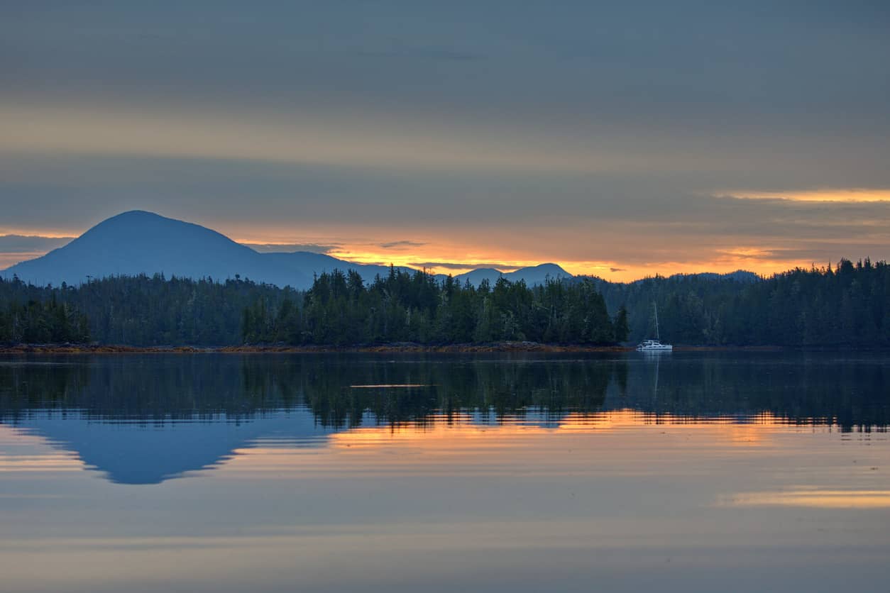 great bear rainforest