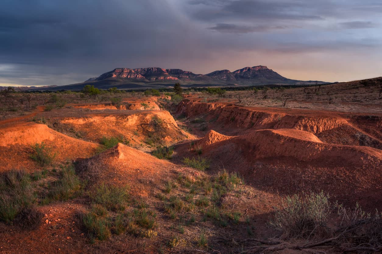 wilpena pound