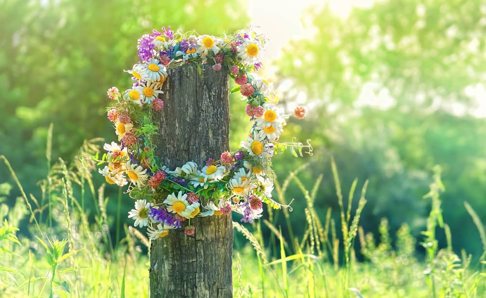solstice celebrations